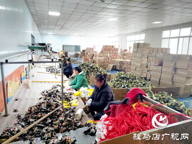 確山縣雙河鎮：產銷兩旺助力企業做大做強