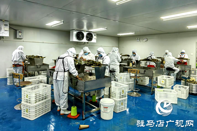 確山喜來順食品：開足馬力搶生產 奮戰首季開門紅