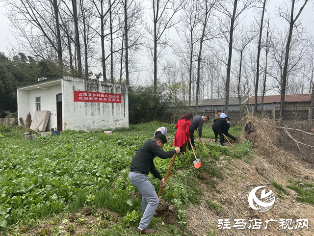 正陽(yáng)縣：捐贈(zèng)果樹(shù)送溫暖 愛(ài)心助農(nóng)添新綠
