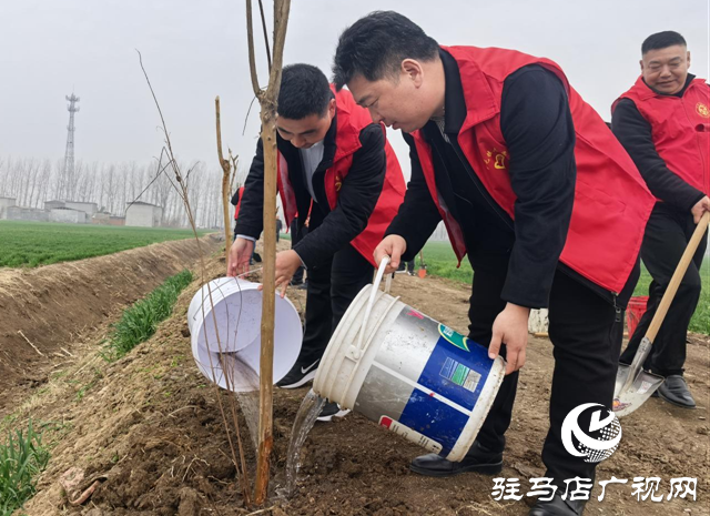 平輿縣李屯鎮(zhèn)組織開展全民義務植樹志愿服務活動