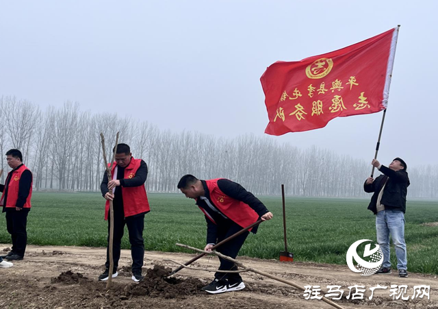 平輿縣李屯鎮(zhèn)組織開展全民義務植樹志愿服務活動