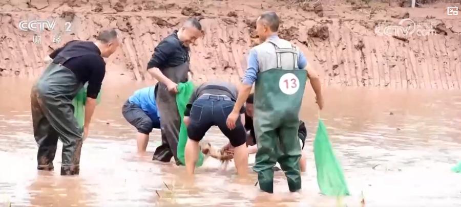 以“花”為媒、以“旅”促農(nóng) 勾勒鄉(xiāng)村振興新圖景