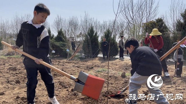 駐馬店廣播電視臺廣播事業管理中心：開展第七屆公益植樹活動 助力鄉村綠色發展
