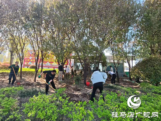 示范區(qū)綜合執(zhí)法大隊(duì)積極開(kāi)展補(bǔ)植增綠工作