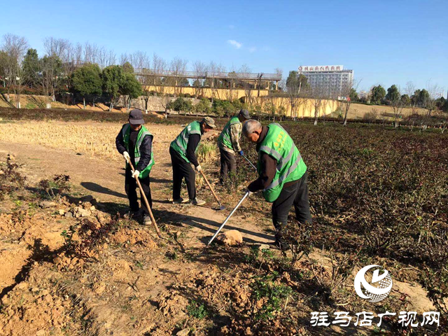 確山縣住建局：春季綠化養(yǎng)護(hù)忙，不負(fù)春景好時(shí)光