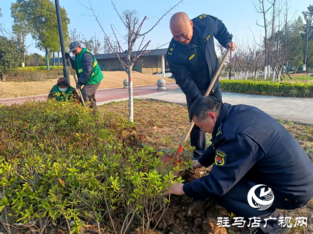 確山縣住建局：春季綠化養(yǎng)護(hù)忙，不負(fù)春景好時(shí)光