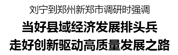 劉寧到鄭州新鄭市調研