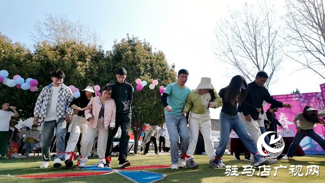 西平縣開展2025年“櫻約有你”青年聯誼活動