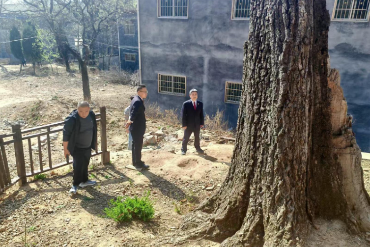 “驛遂”聯動 檢護青山  共筑防火“長城”