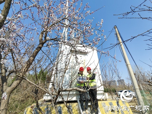 駐馬店移動筑牢蔡氏祭祖大典通信保障網
