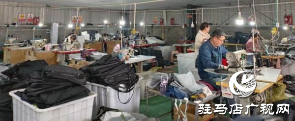遂平縣沈寨鎮沈莊村：黨建引領繪就鄉村振興新圖景