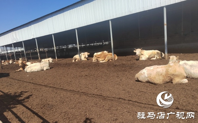 駐馬店市動物防疫檢疫中心發布4月份動物預警預報