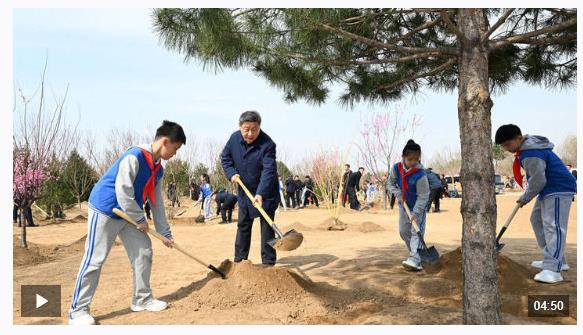 時政新聞眼丨參加首都義務植樹活動，習近平為何強調(diào)這三個關鍵詞？