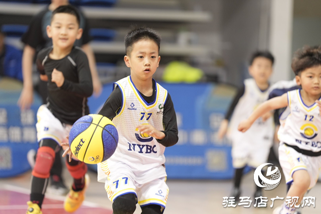 2024——2025賽季中國人壽·NYBO青少年籃球公開賽駐馬店賽區啟幕