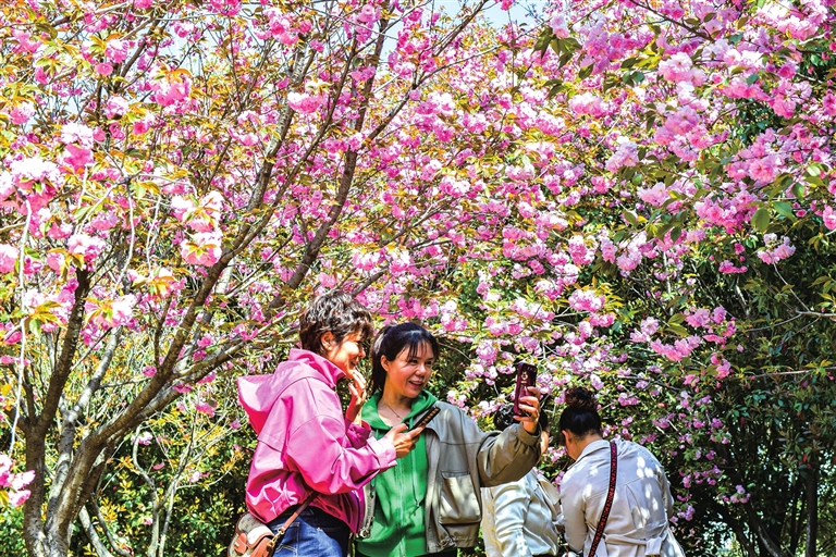 農文旅融合賦能鄉村振興