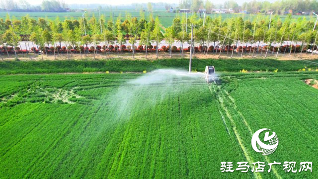 正陽(yáng)縣：科技春管護(hù)麥長(zhǎng) 精準(zhǔn)滴灌保豐年