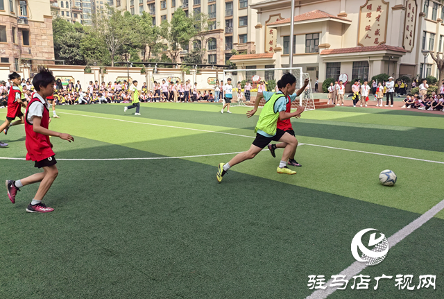 駐馬店市第三十三小學舉行第三屆體育節