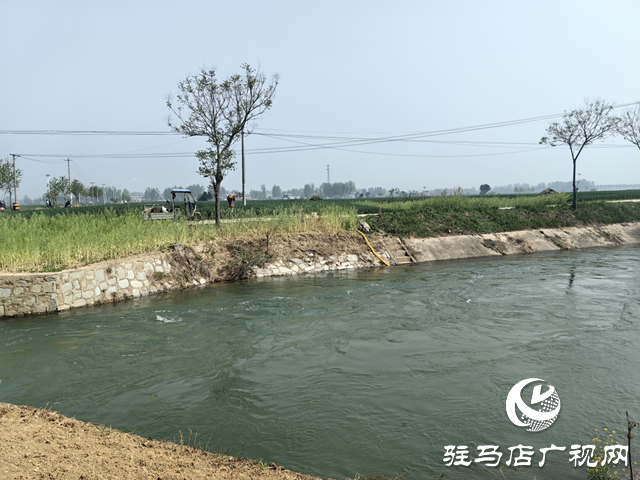 驛城區沙河店鎮：干群聯動保春管 科學澆水護糧安全