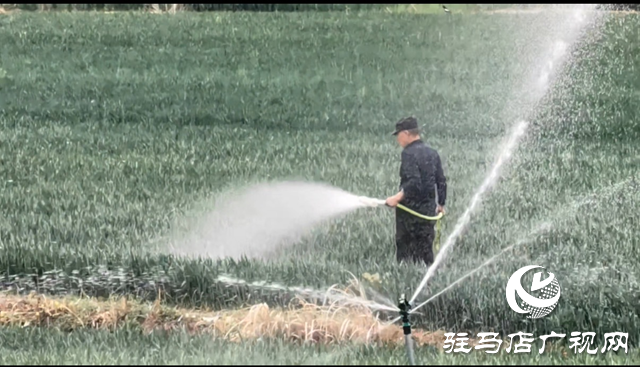 驛城區板橋水庫開閘放水 助力農田灌溉