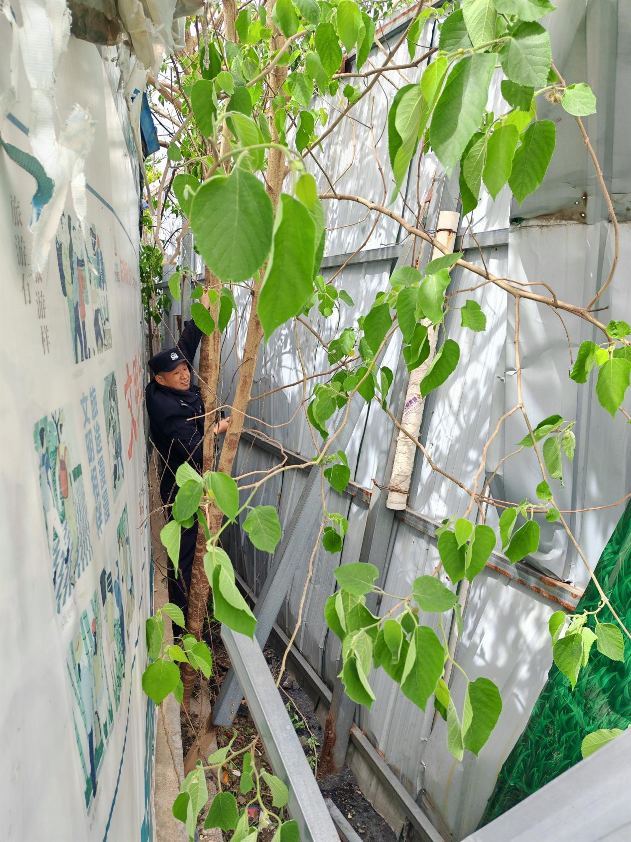 駐馬店：狂風下的護民風“警”線