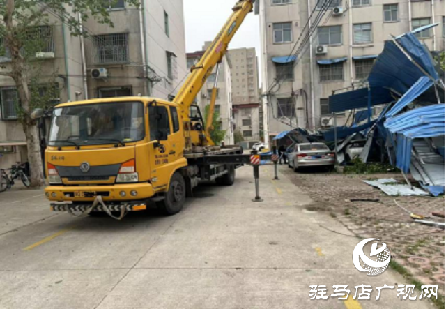 大風天氣車輛受損  中國人壽財險駐馬店公司高效救援