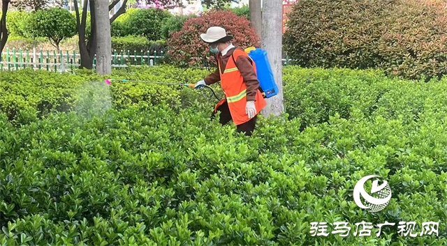  示范區綜合執法大隊：開展病蟲害防治 筑牢園林安全屏障