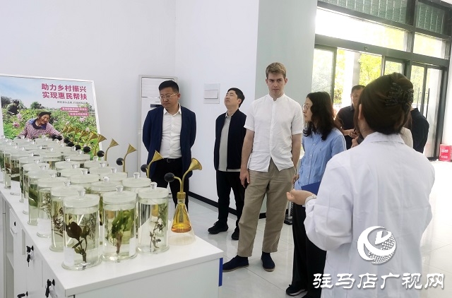 河南唐宮文創科技集團調研駐馬店農產園  探索產業融合新模式