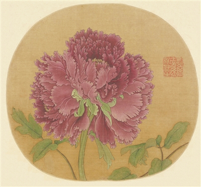谷雨花開，照見千年風雅