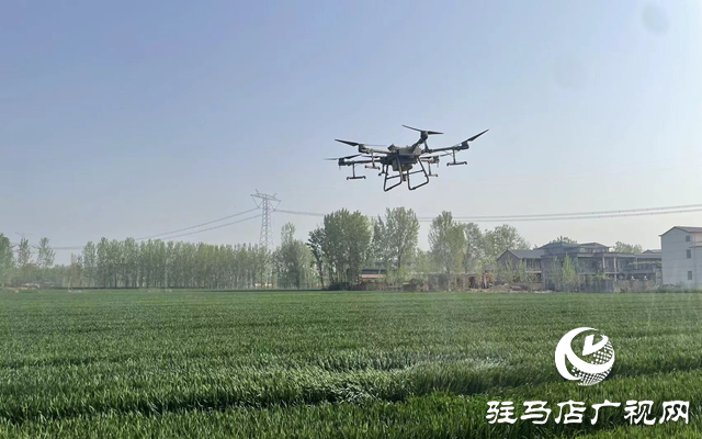 泌陽縣高邑鎮(zhèn)：無人機助力小麥病蟲害防治