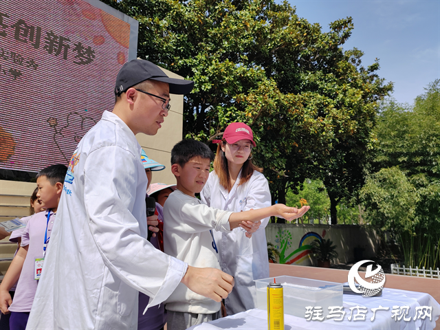  駐馬店市第二十五小學開展科學實驗秀活動