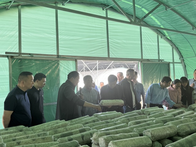 國家食用菌產業技術體系栽培與基質研究室交流會在我市召開