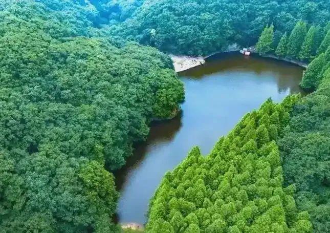 免票！河南近期熱門景區優惠活動匯總