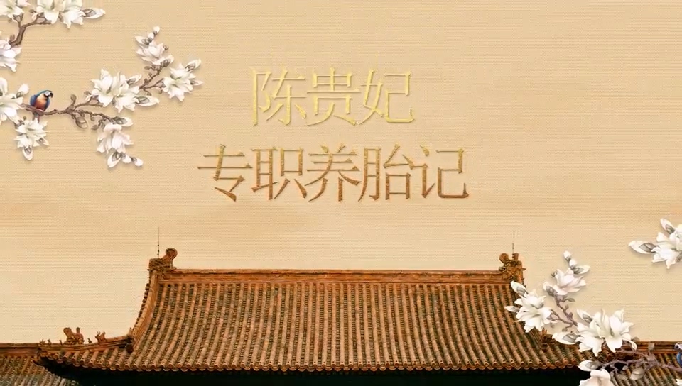駐馬店市中醫院：《陳貴妃專職養胎記》