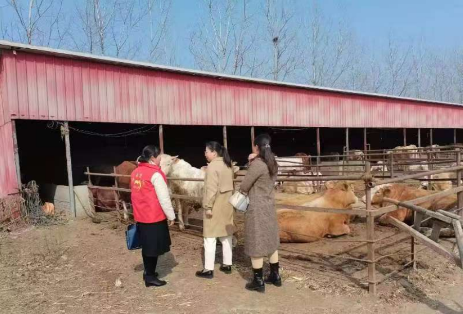 駐馬店市動物疫病防疫檢疫中心發布2025年5月份動物疫病預警預報