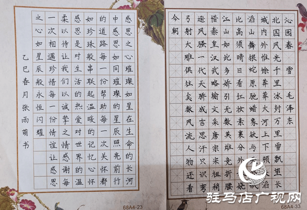 駐馬店職業(yè)技術(shù)學(xué)院成功舉辦“墨韻校園，詩詠青春”硬筆詩詞大賽