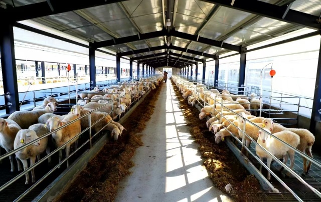 駐馬店市動物疫病防疫檢疫中心發布2025年5月份動物疫病預警預報