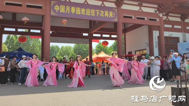 泌陽彩帶舞龍隊(duì)“舞”進(jìn)南陽月季園 共赴文化交流之約