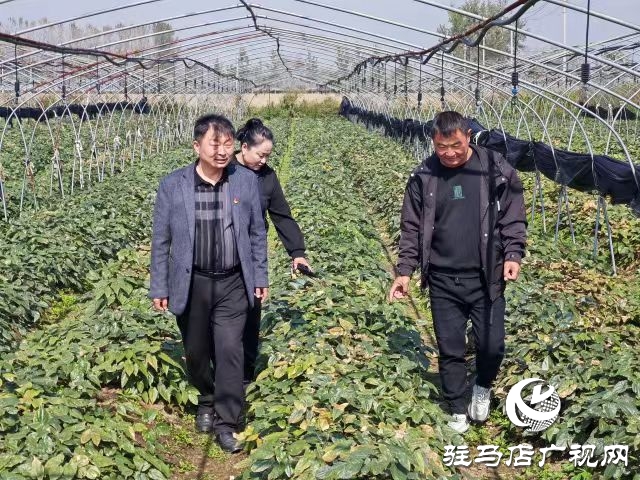 以孝善與活力為筆，繪就鄉村新畫卷 ——專訪平輿縣萬金店鄉土店村支部書記李新立