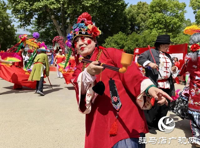 泌陽彩帶舞龍隊(duì)“舞”進(jìn)南陽月季園 共赴文化交流之約