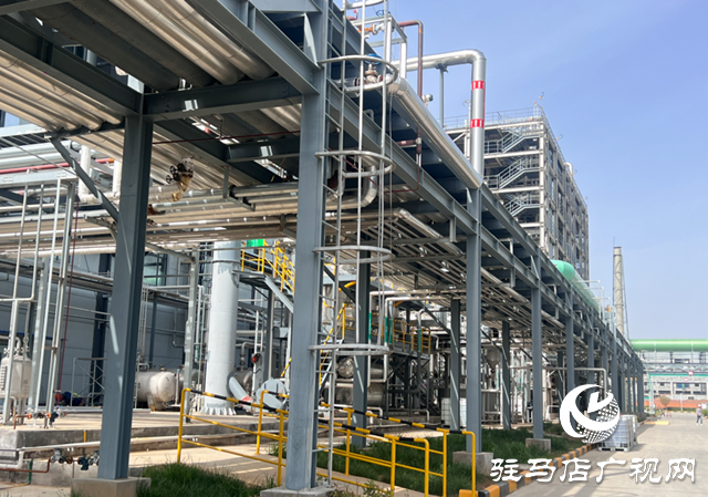 河南立諾制藥：深耕頭孢類原料藥研發 助推中國藥谷崛起