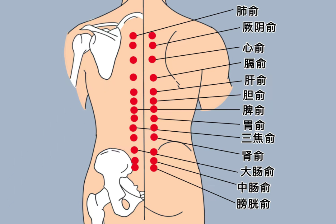 春夏交替易疲勞，4件事養好精力