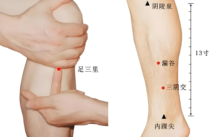 春夏交替易疲勞，4件事養好精力