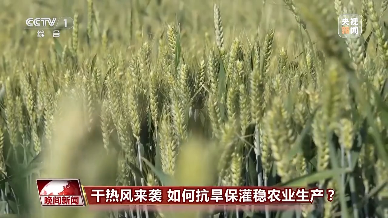 干熱風來襲 如何抗旱保灌穩(wěn)農業(yè)生產？