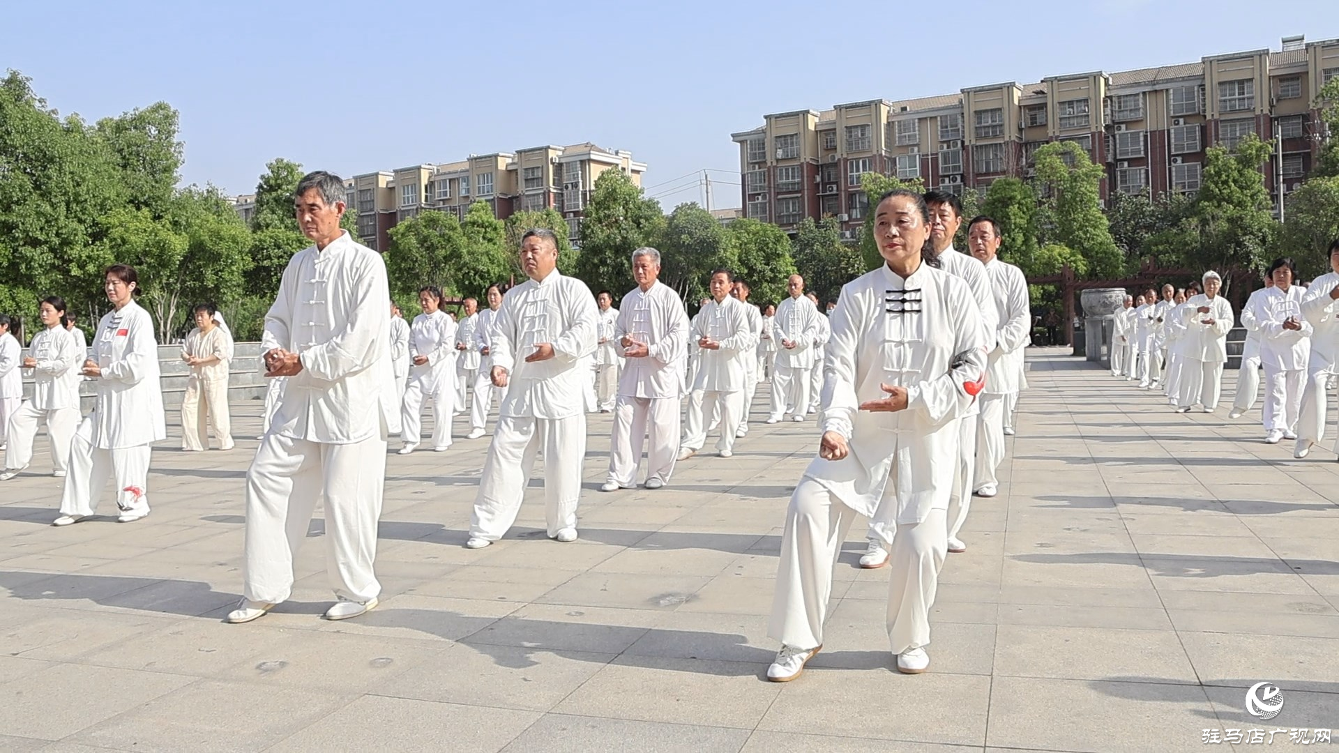 2025年全國“5.19”太極拳大聯動（正陽分會場）活動舉行