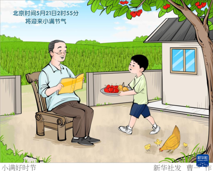 節(jié)令之美丨小得盈滿：21日2時(shí)55分，小滿！