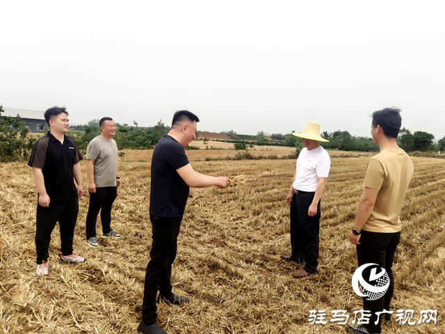 確山縣住建局：推進秸稈禁燒宣傳 織密禁燒防護網 