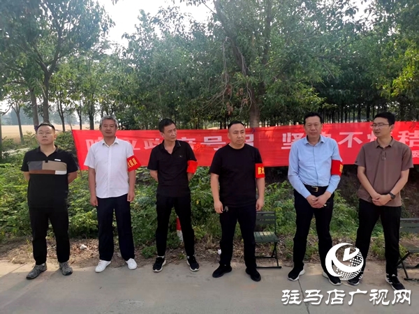 平輿縣射橋鎮：黨建引領聚合力 督導檢查嚴紀律