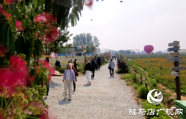 駐馬店驛城區魏莊村：百畝花海織錦繡 文旅新篇引客來