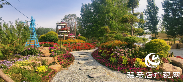 駐馬店驛城區魏莊村：百畝花海織錦繡 文旅新篇引客來