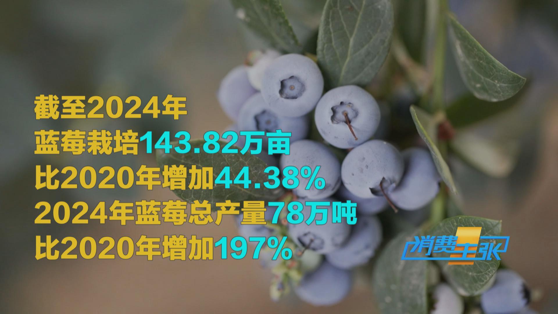 榴蓮價格走低 首批國產“樹上熟”榴蓮也將上市！口感如何？